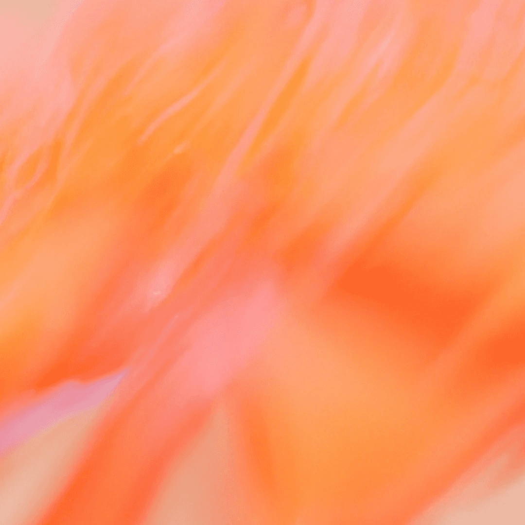 Veo 3.1 vs Sora 2: The Definitive AI Video Generator Comparison in 2026